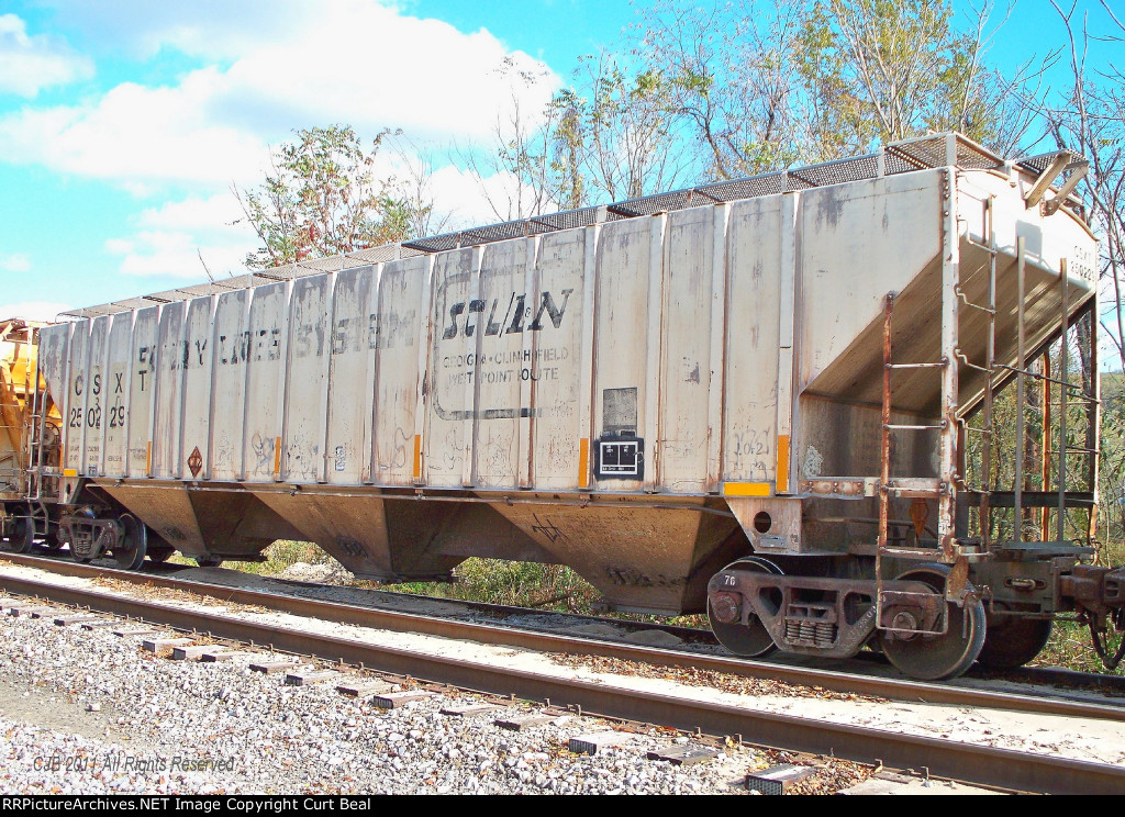 CSX 250229